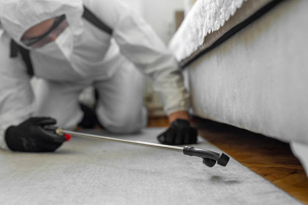 Professional Termite Control technician working in Davenport, FL