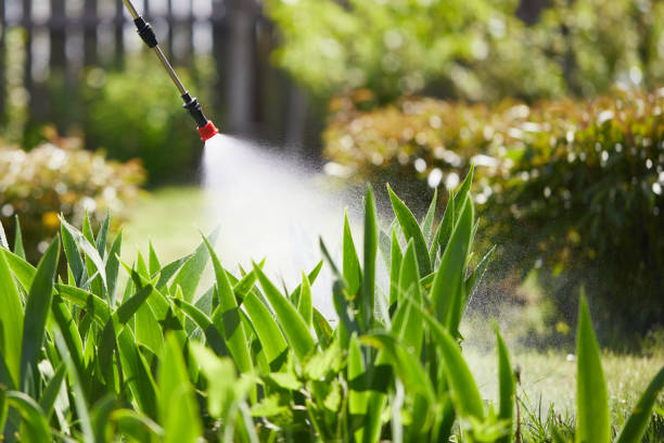 24/7 Emergency Termite Control experts in Davenport, FL